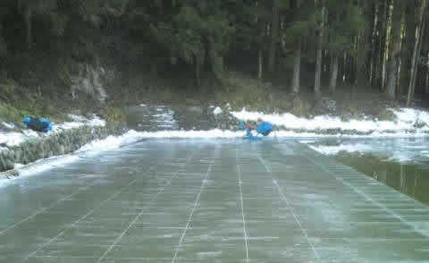 日光天然氷