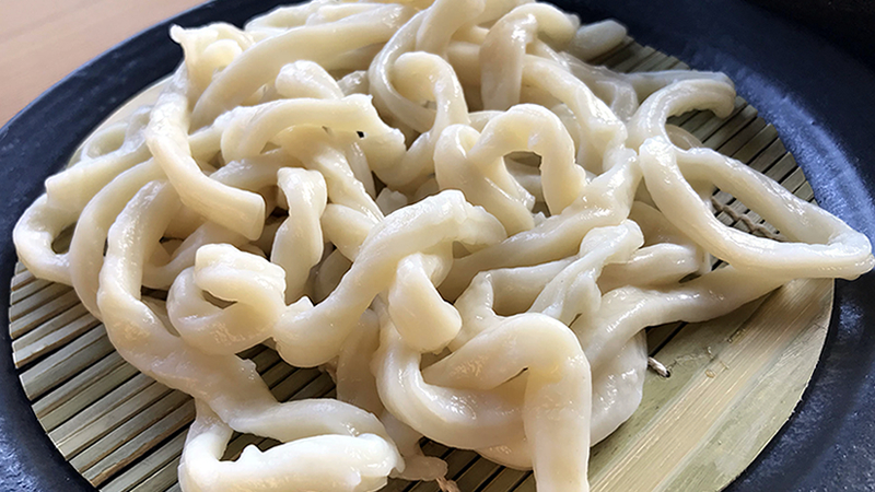 椛屋の太麺うどん